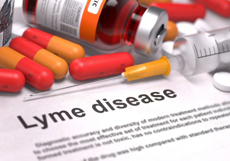 Tratarea bolii Lyme
