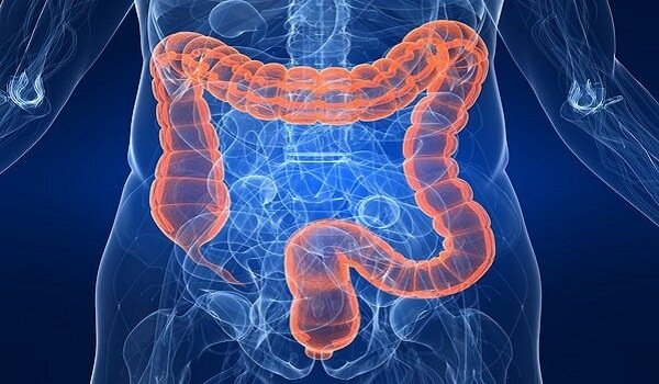 Simptome ale aparitiei unui parazit intestinal
