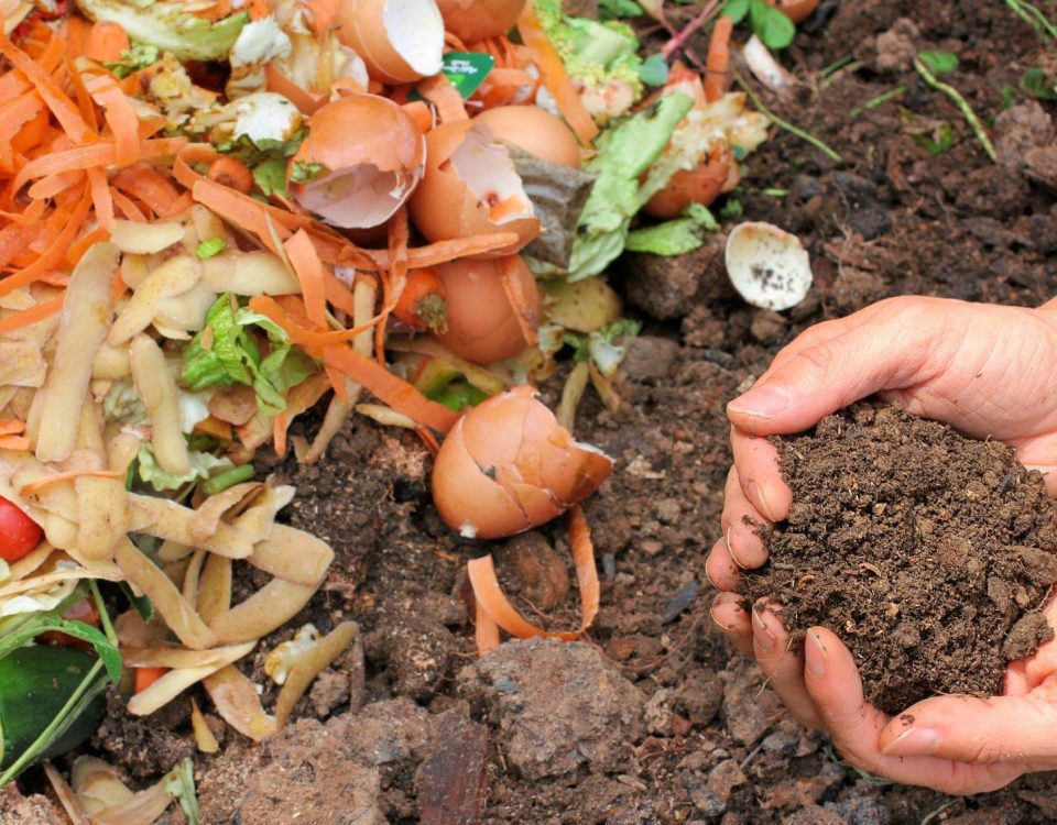 Compostarea la domiciliu